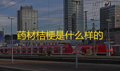 无畏契约透视挂不封号药材桔梗是什么样的